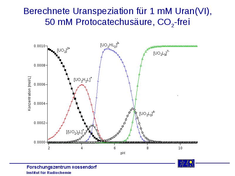 Berechnete Uranspeziation für 1 mM Uran(VI), 50 mM Protocatechusäure, CO2-frei