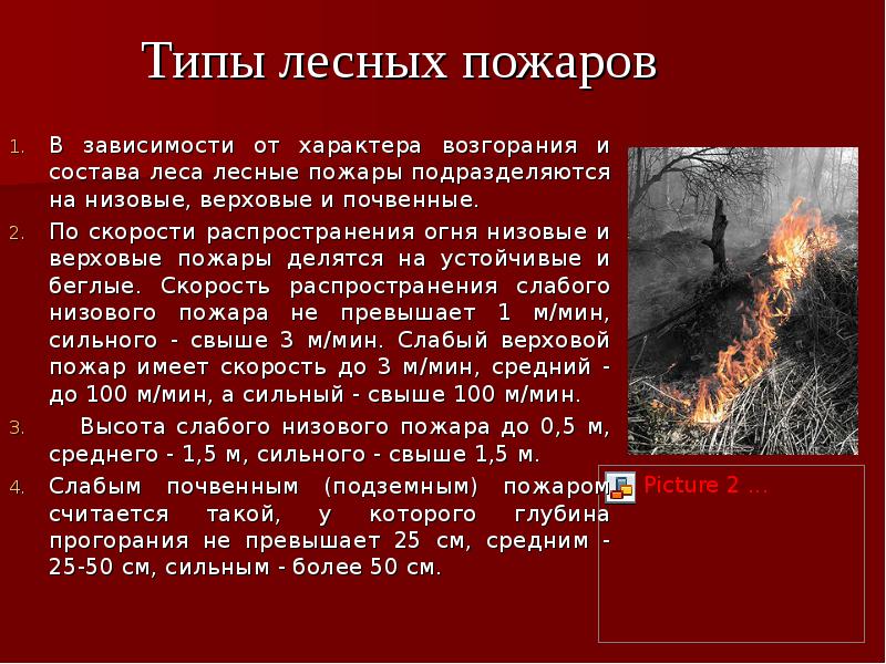 Распространение огня. Пожар для презентации. Доклад о пожаре. Низовые пожары подразделяются на. Сообщение о лесных пожарах.