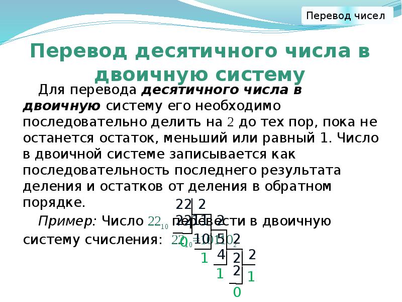 Корни десятичных чисел. Алгоритм перевода десятичного числа в двоичное. Правило перевода двоичного числа в десятичное. Правило перевода десятичных чисел в двоичный код. Правило перехода из десятичной системы в.