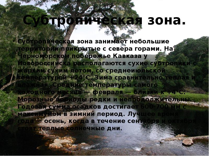 Субтропики 4 класс окружающий. Сообщение о субтропической зоне. Доклад на тему субтропики. Презентация Черноморское побережье Кавказа субтропическая зона. Субтропическая зона доклад.