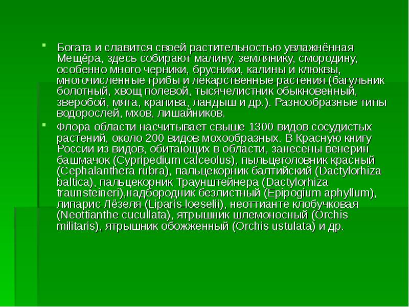 Презентация владимирская область