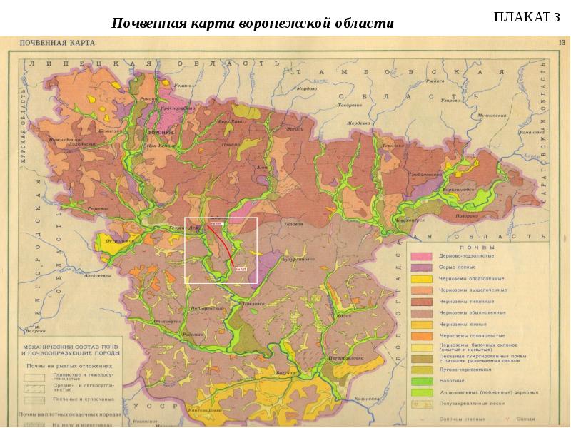 Карта природных зон волгоградской области