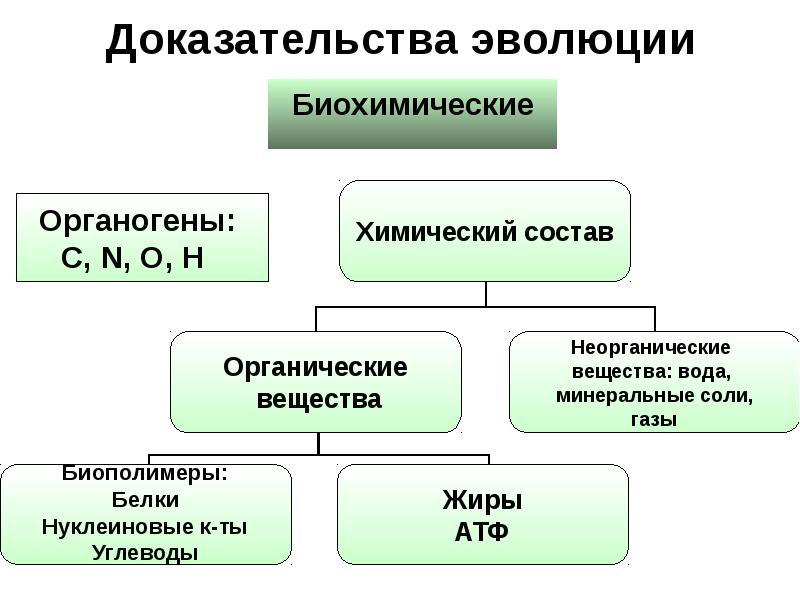  Foto 43