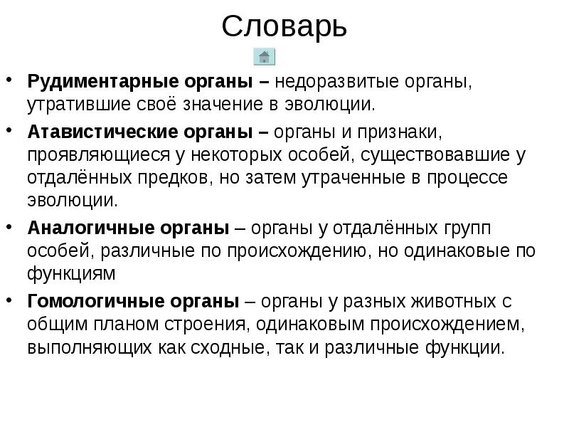 Что такое рудиментарный волосяной покров у человека