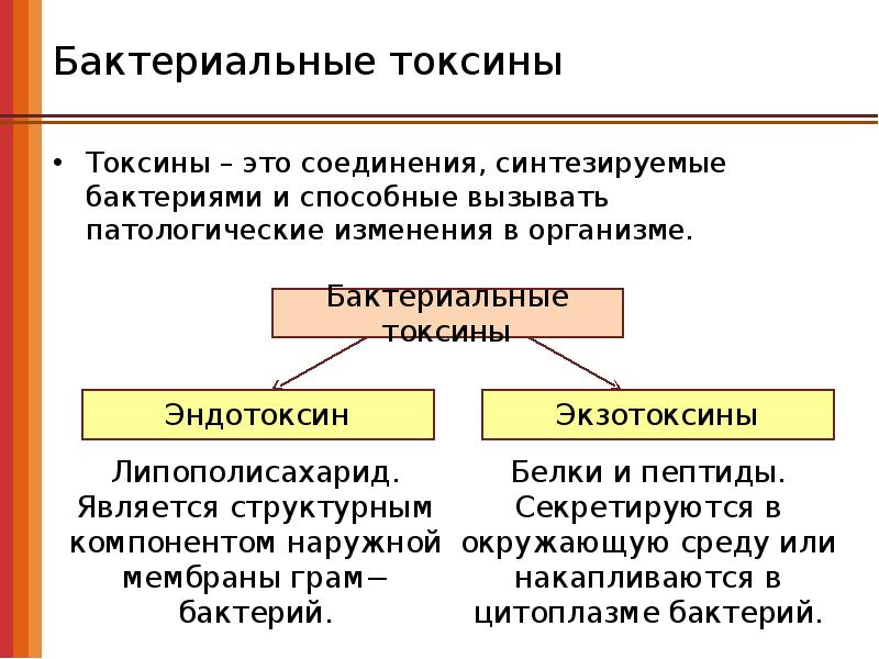 Токсины это. Токсины микроорганизмов микробиология. Токсины бактерий микробиология. Классификация бактериальных токсинов. Токсины бактерий их классификация и характеристика.