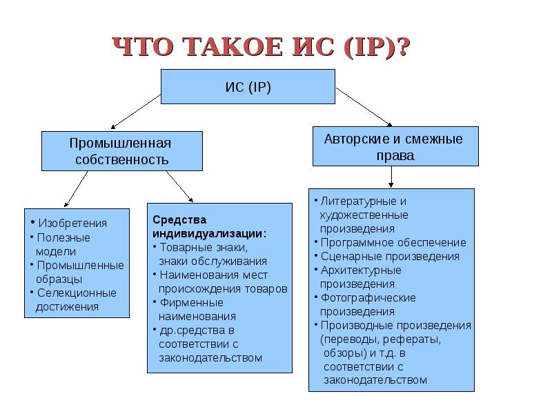 Реферат: Индивидуализация поведения животных