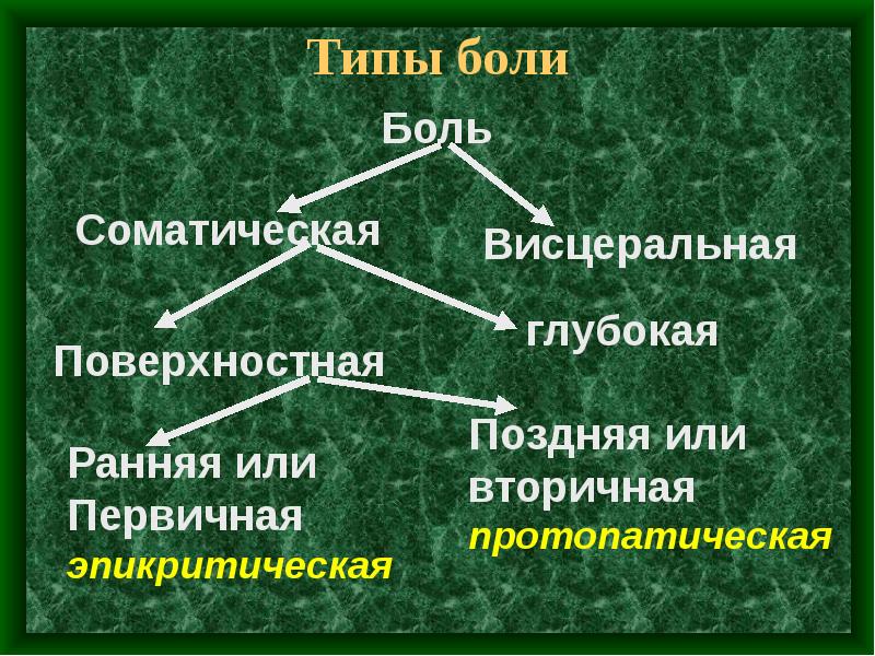 Типы боли ноющая. Виды соматической и висцеральной боли. Типы боли. Виды боли эпикритическая протопатическая. Эпикритическая и протопатическая боль.