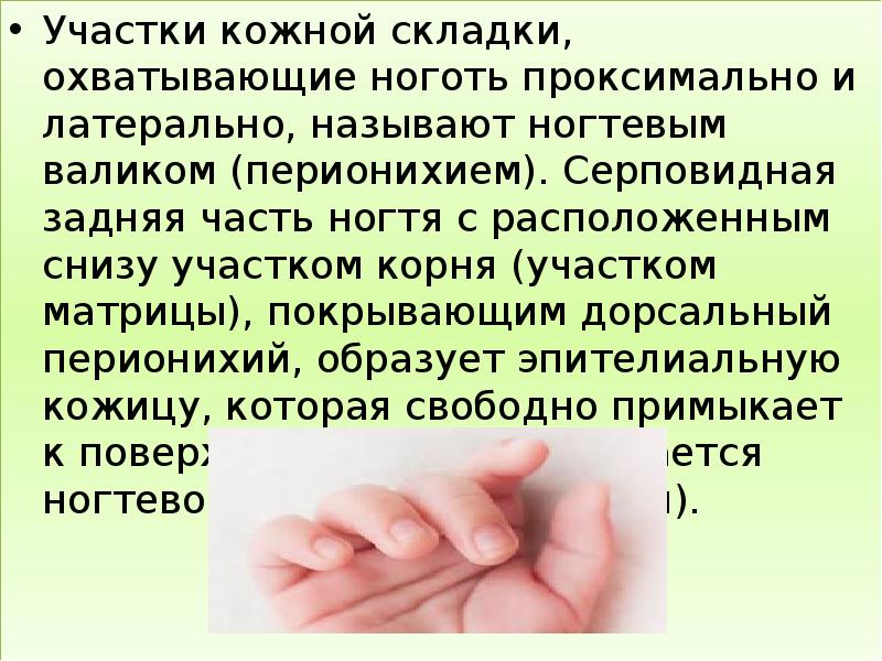 Врач который лечит ногти как называется. Врач который лечит ногти как называется