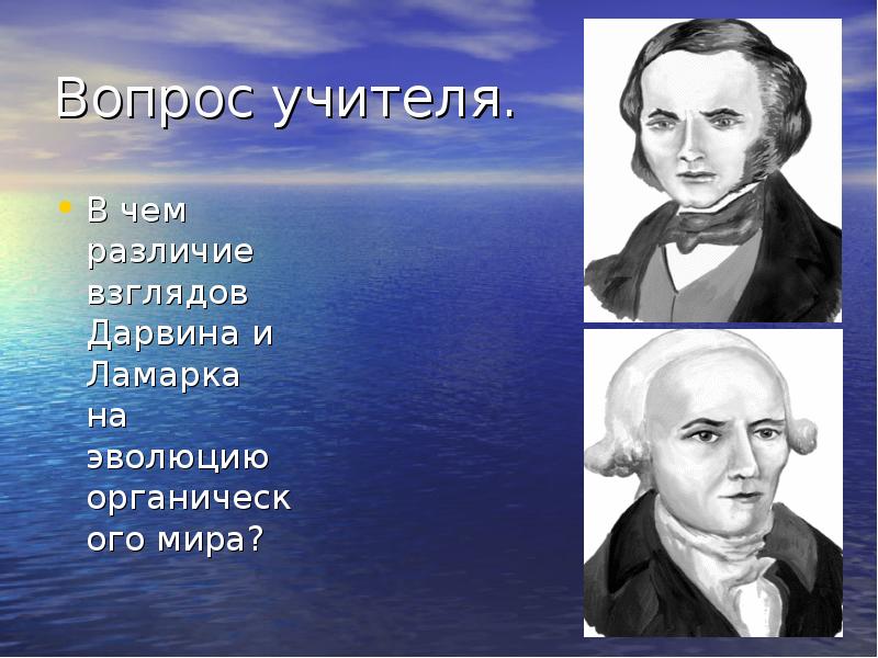 Различие взглядов. Взгляды Дарвина и Ламарка. Ламарк взгляды на эволюцию. Дарвин взгляды на эволюцию. Взгляды Дарвина на развитие органического мира.