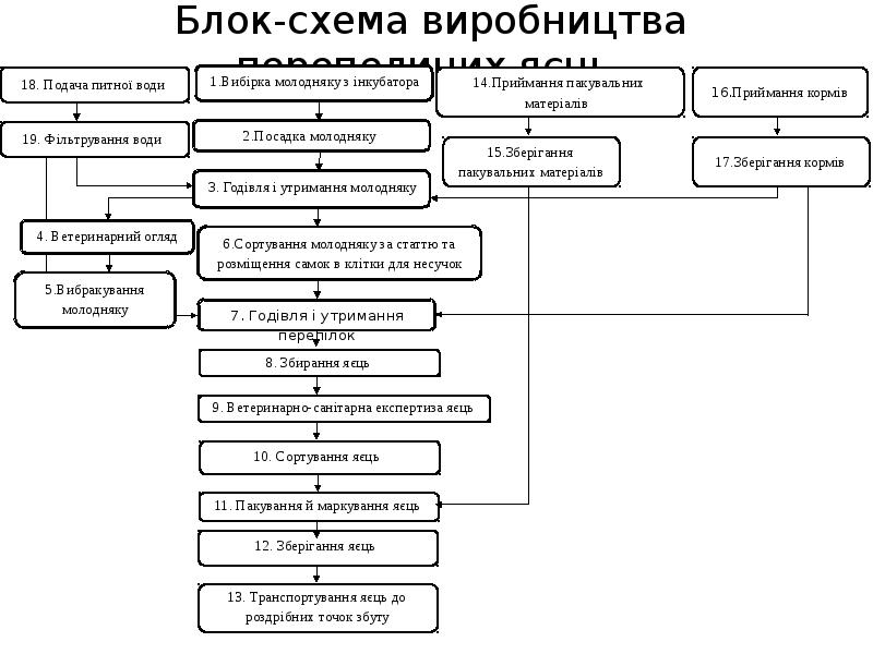 Блок схема производства пельменей