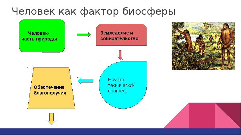 Презентация на тему эволюция биосферы 9 класс