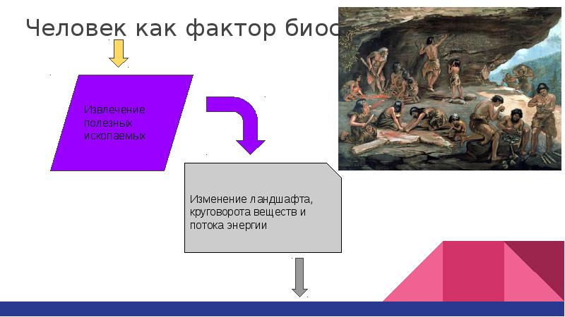 Как человек изменяет биосферу примеры. Человек как фактор в биосфере. биосфера и человек. эволюция биосферы. человек как фактор биосферы 3 пункта.
