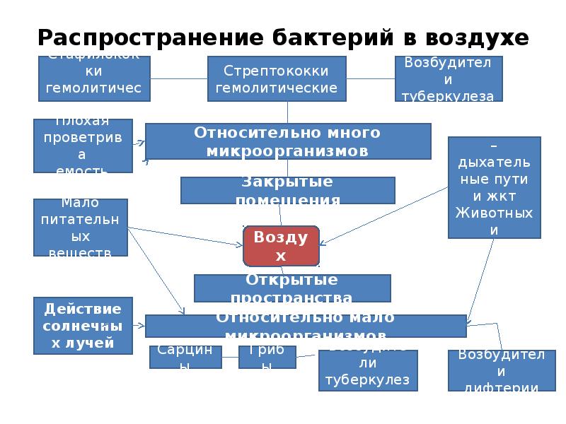 Экология микроорганизмов презентация