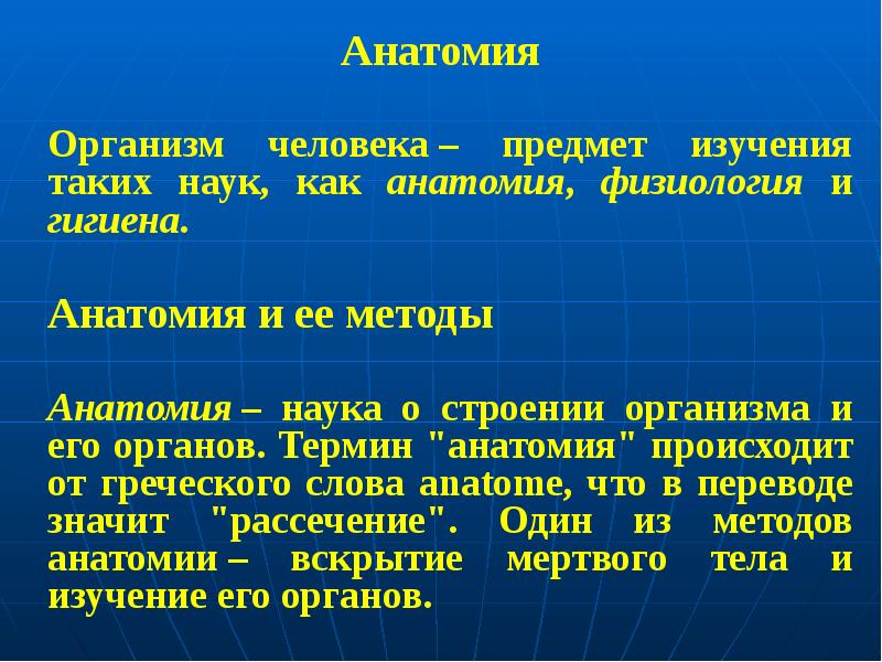 Анатомия объект изучения