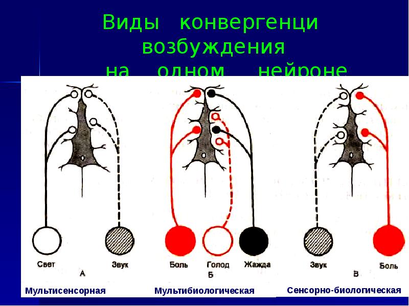 Возбуждение света