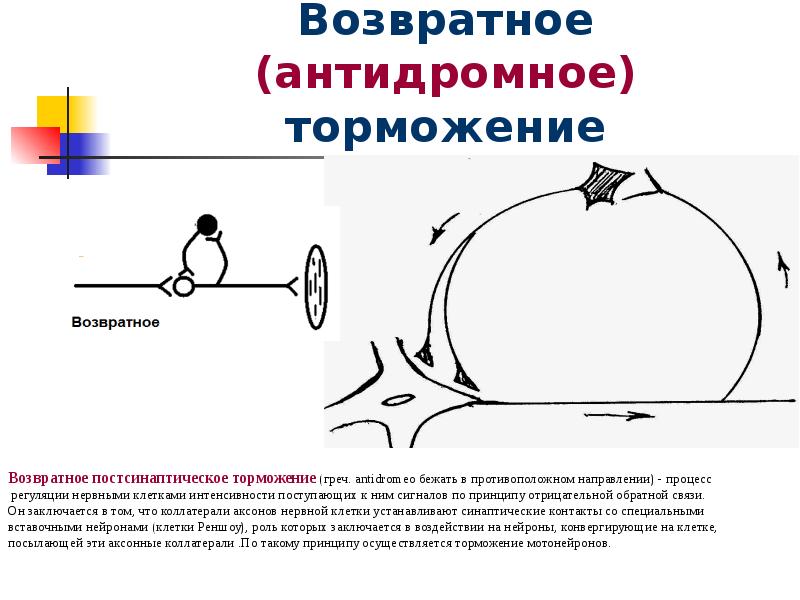 Полное торможение. Возвратное постсинаптическое торможение схема. Возвратное торможение пример. Пример возвратного торможения в ЦНС. Возвратное (антидромное) постсинаптическое торможение.