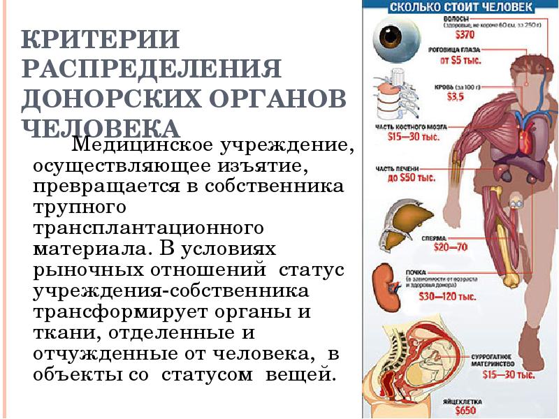 Презентация на тему трансплантация органов и тканей человека