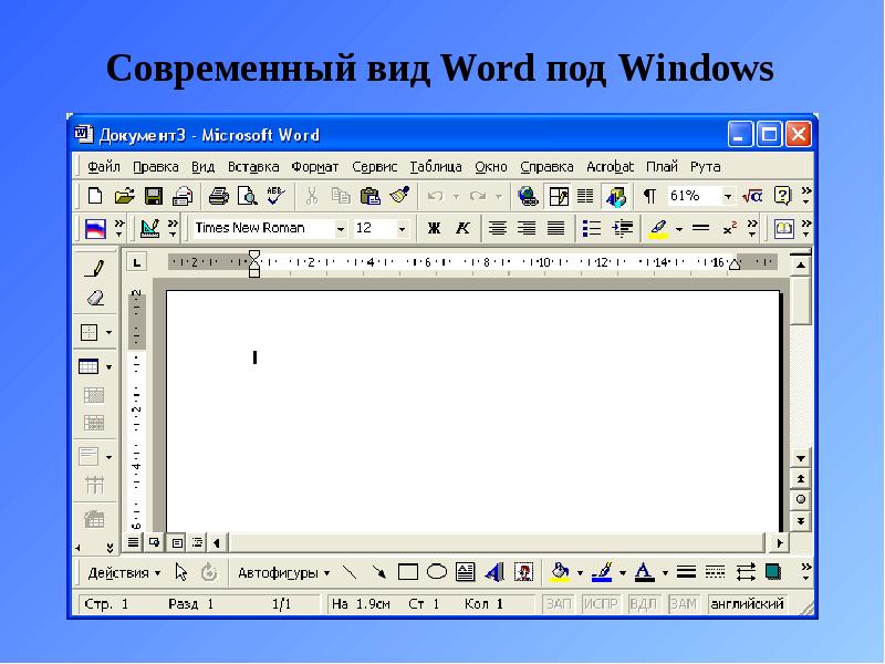 Виды word. Microsoft Word вид. Word внешний вид. Операционная система Word. MS Word вид программы.