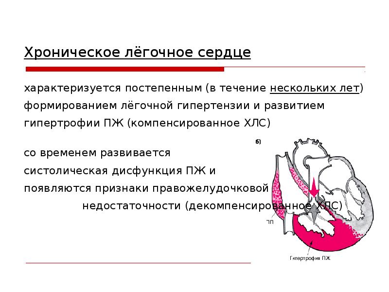 Хроническое легочное сердце патогенез. Патогенез хронического легочного сердца кратко. Хроническое легочное сердце осложнения. Легочное сердце при ХОБЛ. Компенсированное легочное сердце.