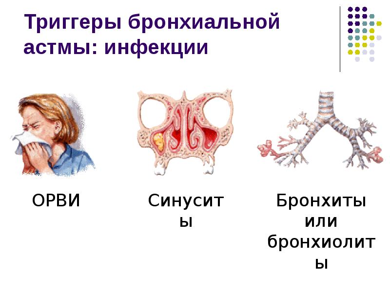 Триггеры астмы