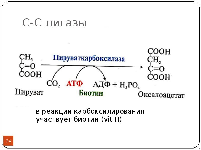 Класс лигазы ферменты