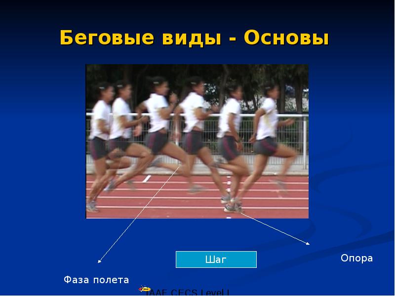 Основы шага. Беговое сообщение. Вид бега записи в тетради. Сдаем виды бега 2 класс 1 четверть. Виды бега без надписей фото для реферата.