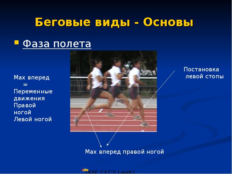 Презентация на тему беговая дорожка