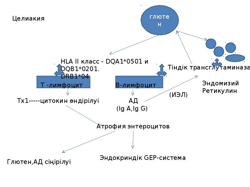 Целиакия презентация педиатрия