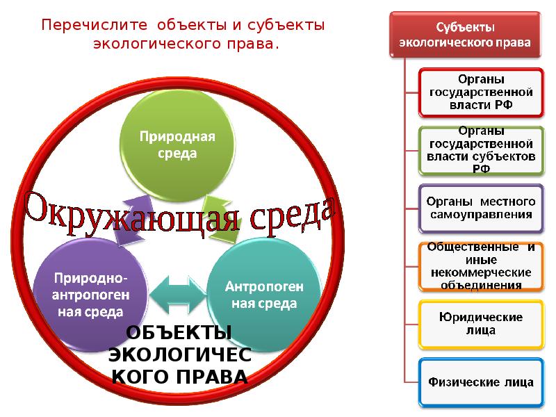 Схема виды объектов экологического права