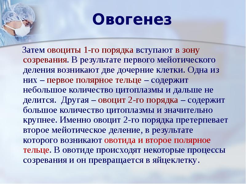 количество цитоплазмы овогенез. фазы размножения клетки 2n2c. сперматогенез и оогенез таблица. схема гаметогенеза у животных. количество цитоплазмы овогенез.