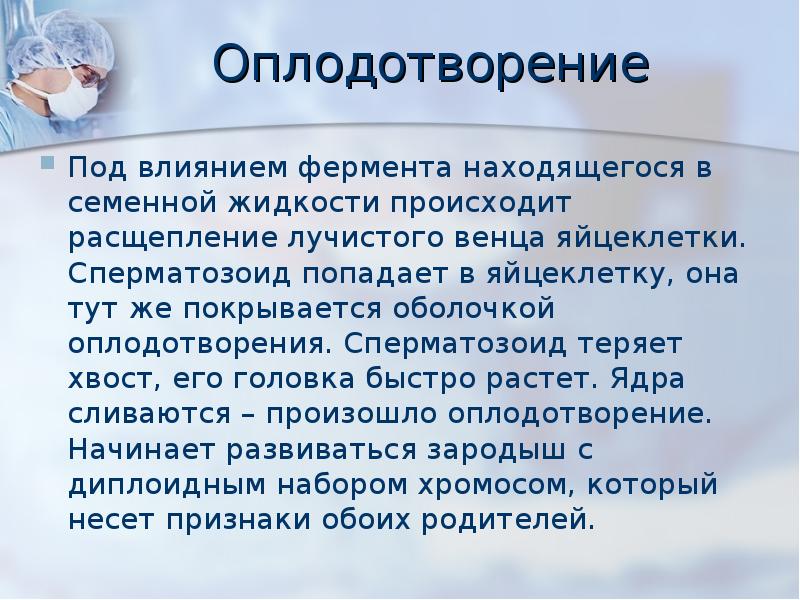 Оплодотворение человека презентация