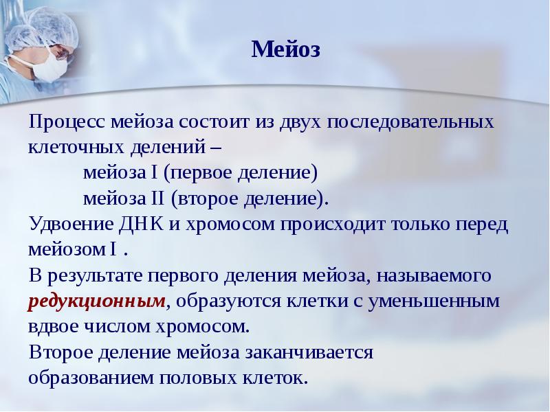 Биологическое значение мейоза презентация