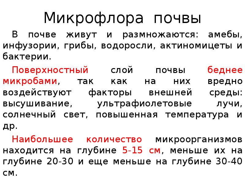 Микрофлора почвы микробиология презентация