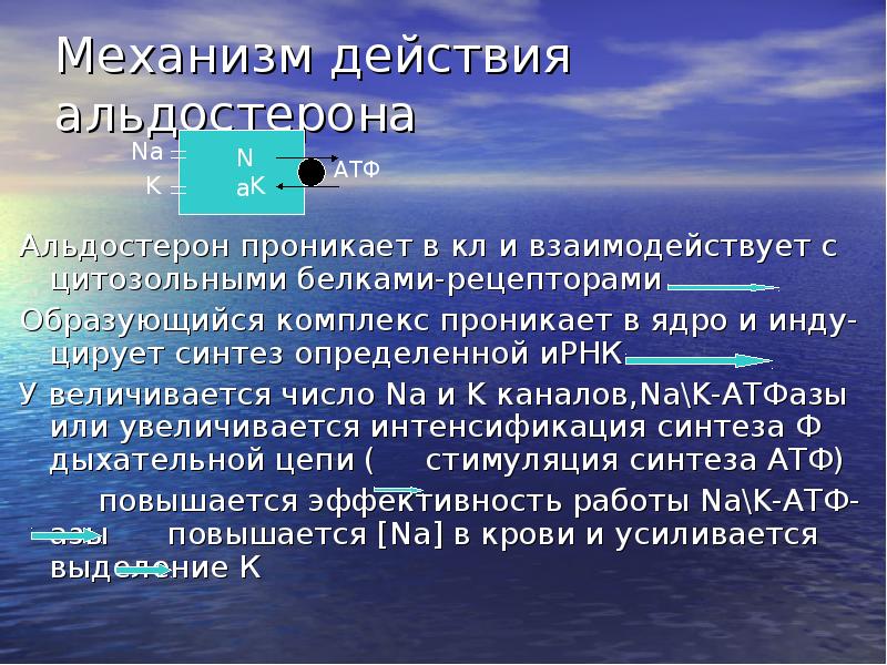 Водно солевой баланс презентация