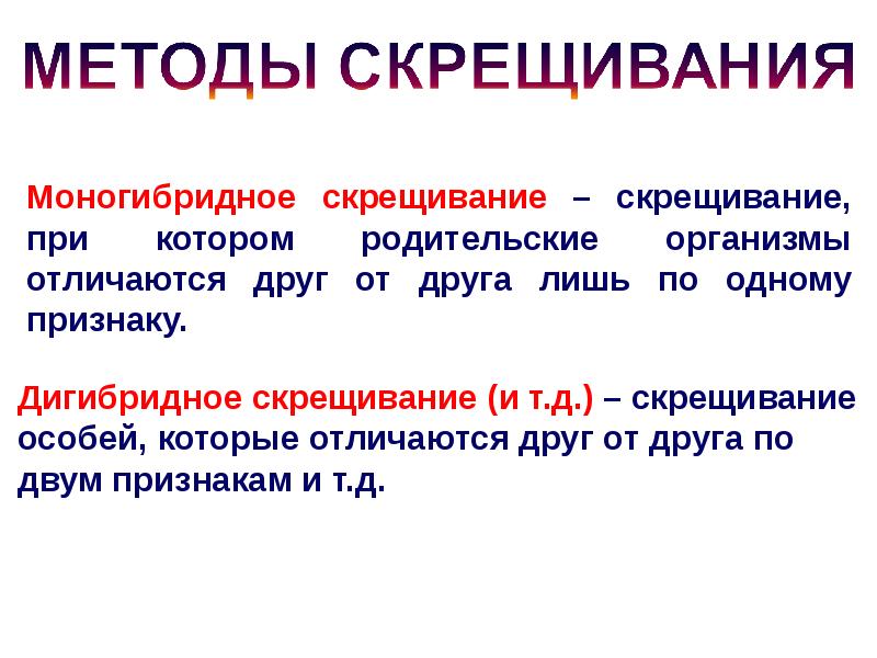 Основы генетики