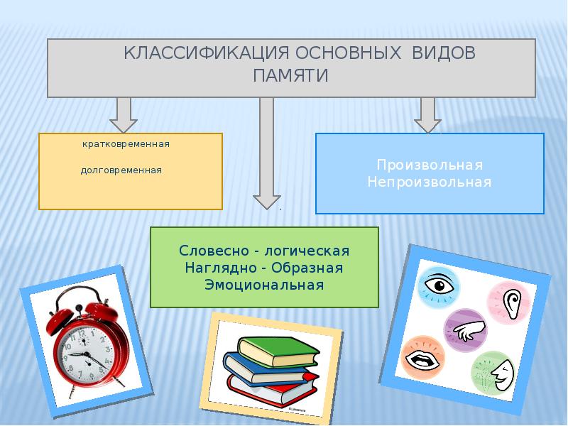 Презентация на тему развитие памяти