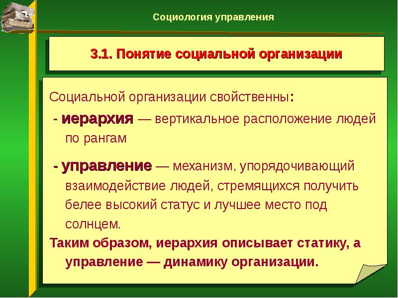 Социальная организация презентация