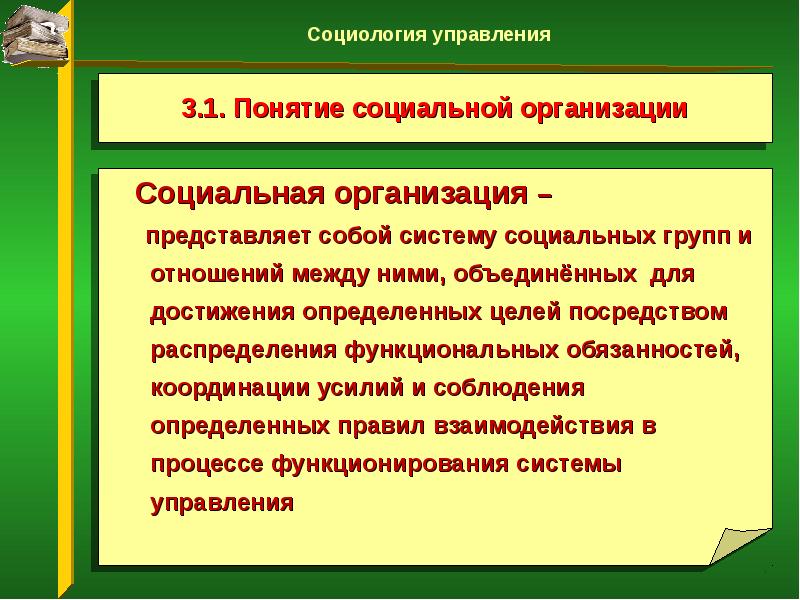 Социальная организация презентация