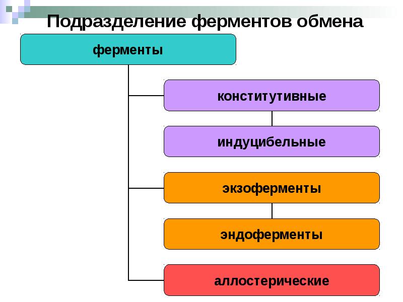 Обмен ферментов. Подразделение ферментов. Ферментативный обмен. Ферменты обмена. Подразделение ферментов на классы.