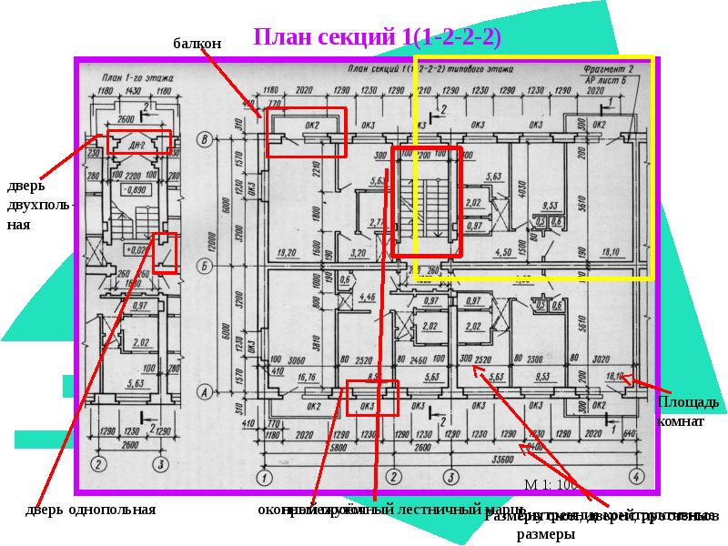 План секционных занятий