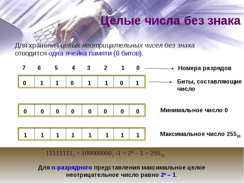 Как записать целое число. Целые числа без знака. Целые числа в памяти компьютера. Представление целых чисел в памяти. Целые числа обозначение.