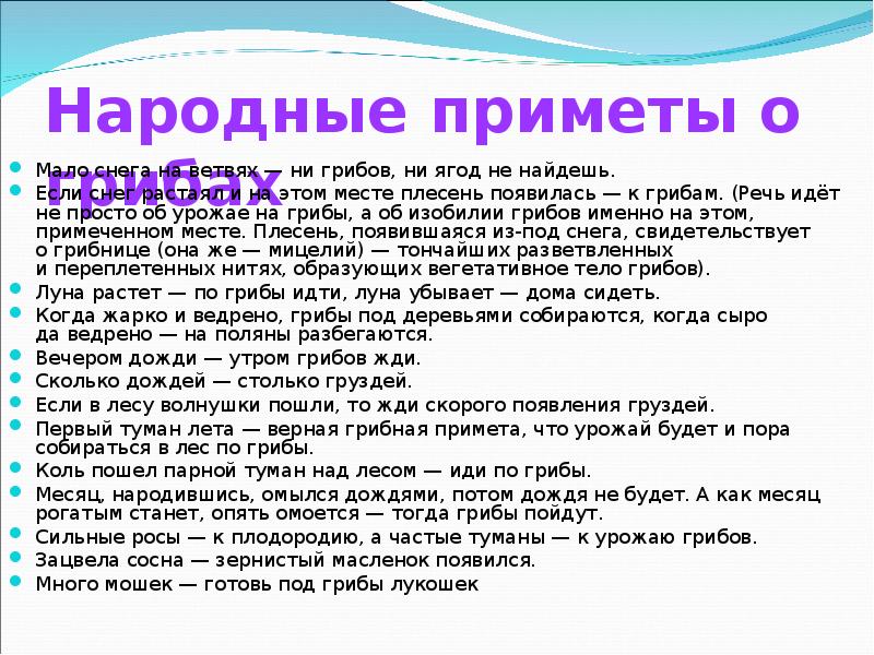 Несколько примет. Народные приметы о грибах. Приметы про грибы и войну. Народные приметы о грибах для детей. Приметы о грибах 2 класс.