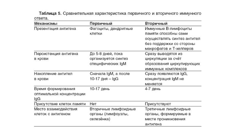 Ответ характеристика. Характеристика первичного и вторичного иммунного ответа. Первичная и вторичная фаза иммунного ответа.