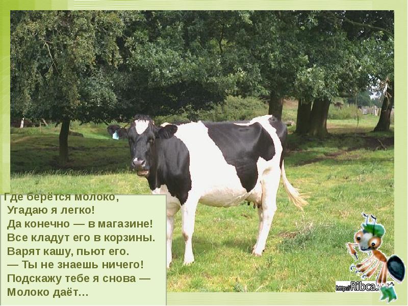 Как живут животные конспект с презентацией — иллюстрация 13