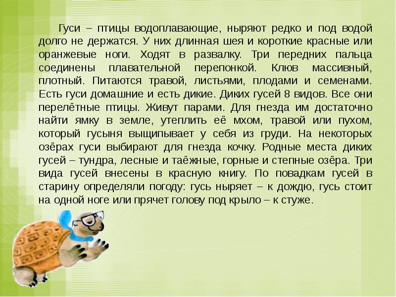 Как живут животные конспект с презентацией — иллюстрация 12