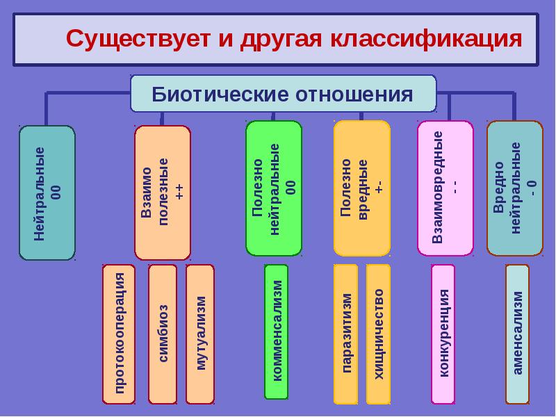 Презентация по биологии 9 класс биотические связи в природе пономарева