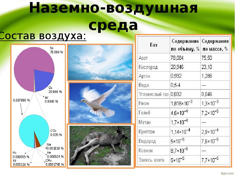 Наземно водно воздушная среда. Наземно-воздушная среда. Плотность наземно-воздушной среды. Плотность воздушной среды. Плотность среды в наземно воздушной среде.