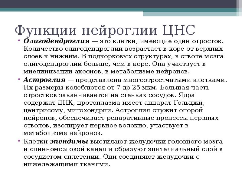 Функции нейроглии