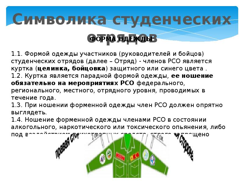 Проект студенческие отряды