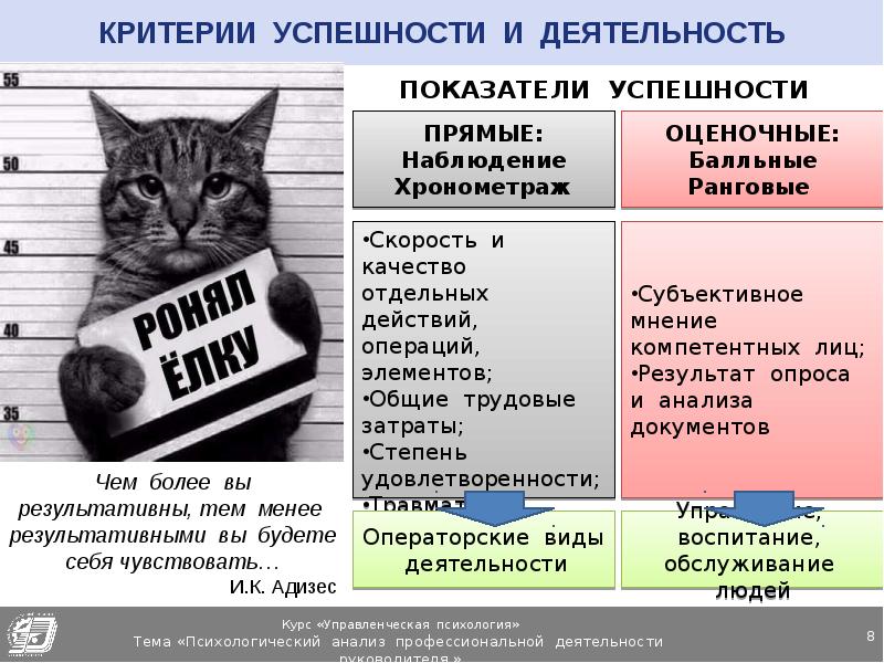 Критерии профессиональной успешности. Критерии успешности. Критерии успешности человека. Критерии успешности руководителя опираясь на свойства внимания.